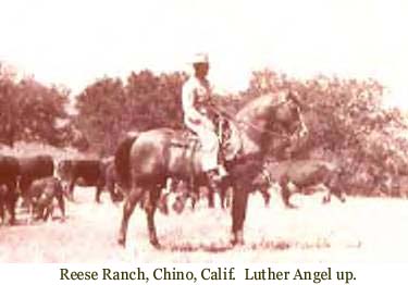 Reese Ranch, Chino, CA.  Luther Angel up.