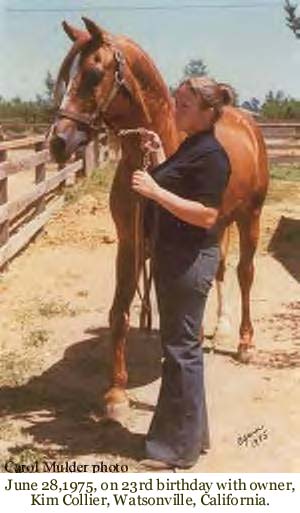 June 28,1975, on 23rd birthday with owner, Kim Collier, Watsonville, California.