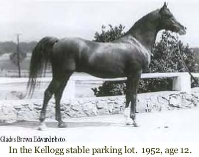 In the Kellogg stable parking lot, 1952, age 12.