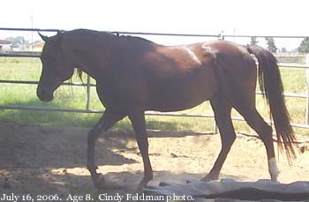 July 16, 2006.  Age 8.  Cindy Feldman photo