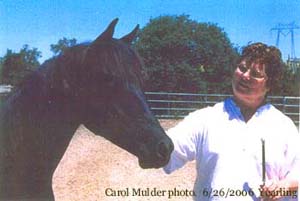 Black Destiny with Janice Siders.  June 2006.  Carol Mulder photo