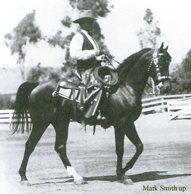 Mark Smith up, in the Kellogg show ring