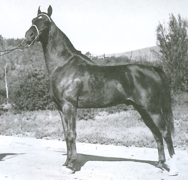 On Anazeh Loop Road, Kellogg Ranch, Pomona, CA