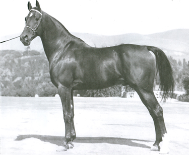 1937, age 8. In Kellogg Stable parking lot