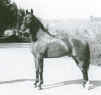 1938, age 9. On Anazeh Loop Road, Kellogg Ranch.