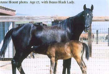 2002, Ohadi Black Lady, age 17, with Beaus Black Lady. Anne Blount photo 
