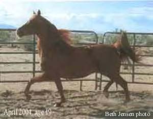 Rabba Baron at age 19.  Beth Jensen photo