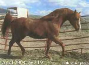 Rabba Baron at age 19.  Beth Jensen photo