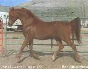 Rabba Baron at age 19.  Beth Jensen photo