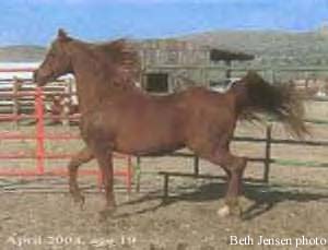 Rabba Baron at age 19.  Beth Jensen  photo