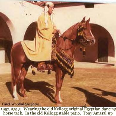 1957, age 5.  Wearing the old Kellogg original Egyptian dancing horse tack.  In the old Kellogg stable patio.  Tony Amaral up.