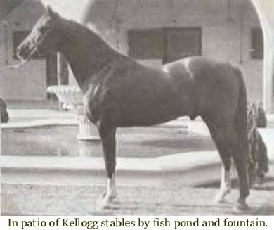 In patio of Kellogg stables by fish pond and fountain.