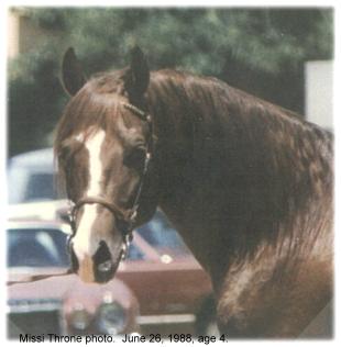 Age 6, Carol Mulder photo.